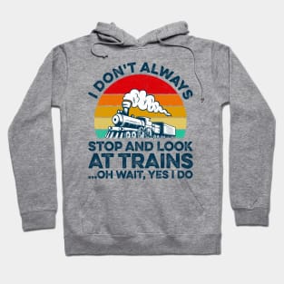 I Don't Always Stop And Look At Trains Train Collector Hoodie